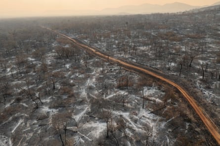 Aerial view of a road running through a forest left scorched by fire
