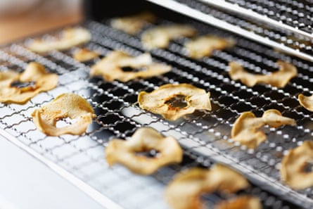 Dried apple slices on a rack being placed into an electric dehydrator.
