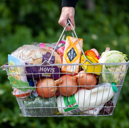 Someone holds a shopping basket of groceries
