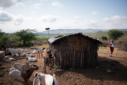 A Samburu homestead in Oldonyiro