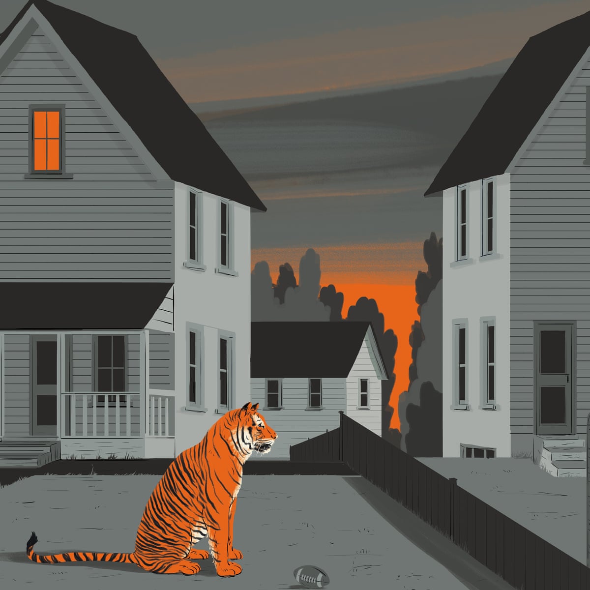 The Tiger Next Door America S Backyard Big Cats Life And Style