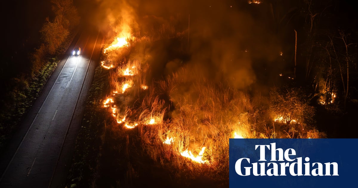 Brazil fires consumed wilderness area larger than Italy in 2024 – report | Brazil Brazil fires consumed wilderness area larger than Italy in 2024 – report | Brazil