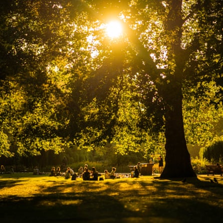People sat in a park on a sunny day near a large tree that is providing shade.