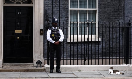 Larry, the Downing Street Cat, outside No 10