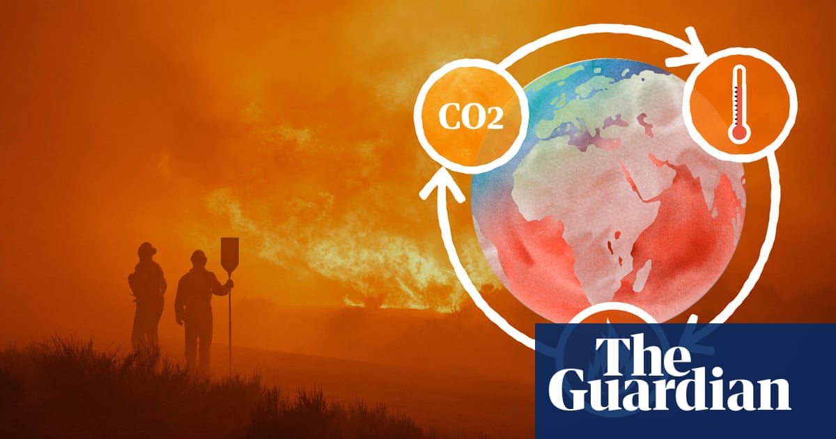 The climate science behind wildfires: why are they getting worse? – video explainer