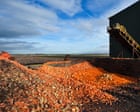 Three ways to boost the UK’s fragile food security | Letters
