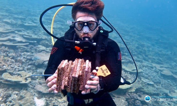 Researcher collecting populated recruitment tiles at southern end of Great Barrier Reef