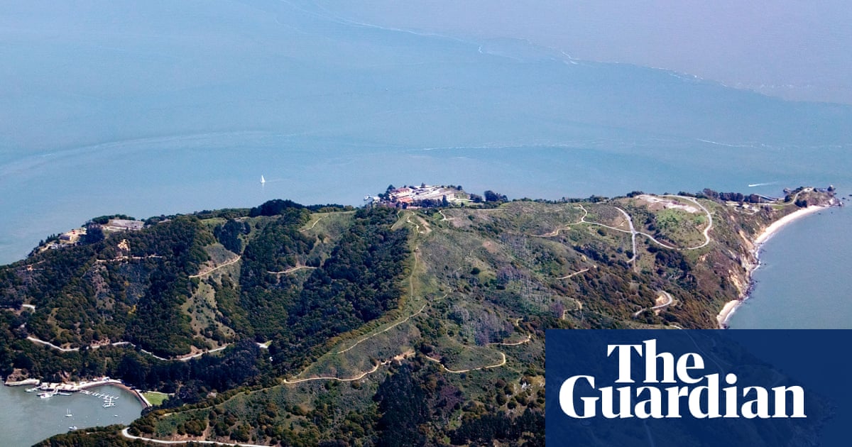 Survivor's island: coyotes seen paddling across deep San Francisco Bay waters