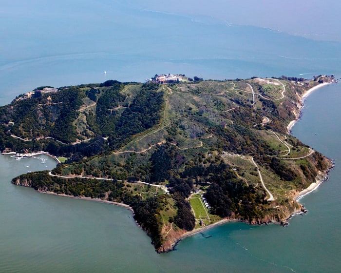 Survivor’s island: coyotes seen paddling across deep San Francisco Bay waters