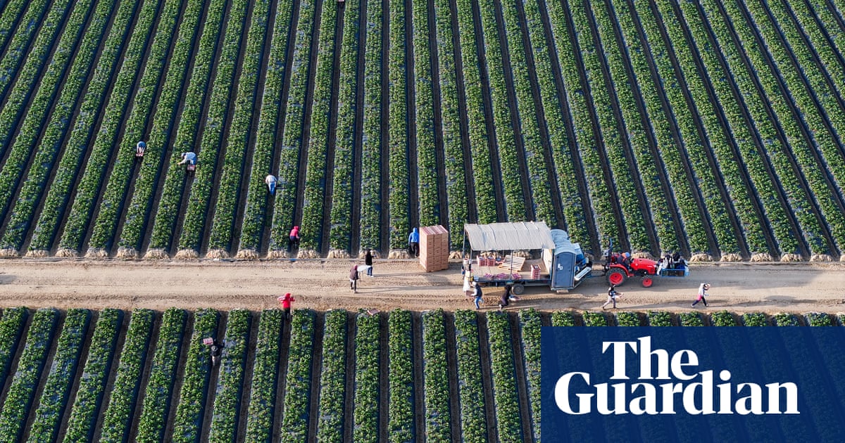California bans paraquat, highly toxic herbicide outlawed in more than 70 countries
