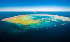 Bait Island on the Great Barrier Reef