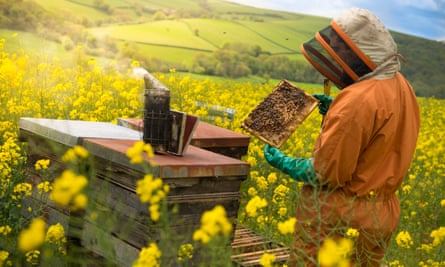 Quince Honey Farm, South Molton, Devon