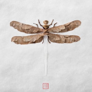 An illustration by artist Raku Inoue who uses garden waste including sticks, seeds and petals, to create his Natura Insects series.