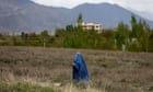 'Please pray for me': female reporter being hunted by the Taliban tells her story