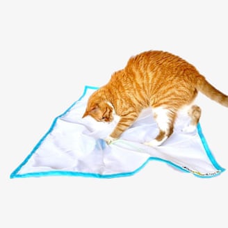 Your indoor cat is bored. Here are toys and tools to fix that | cats 819