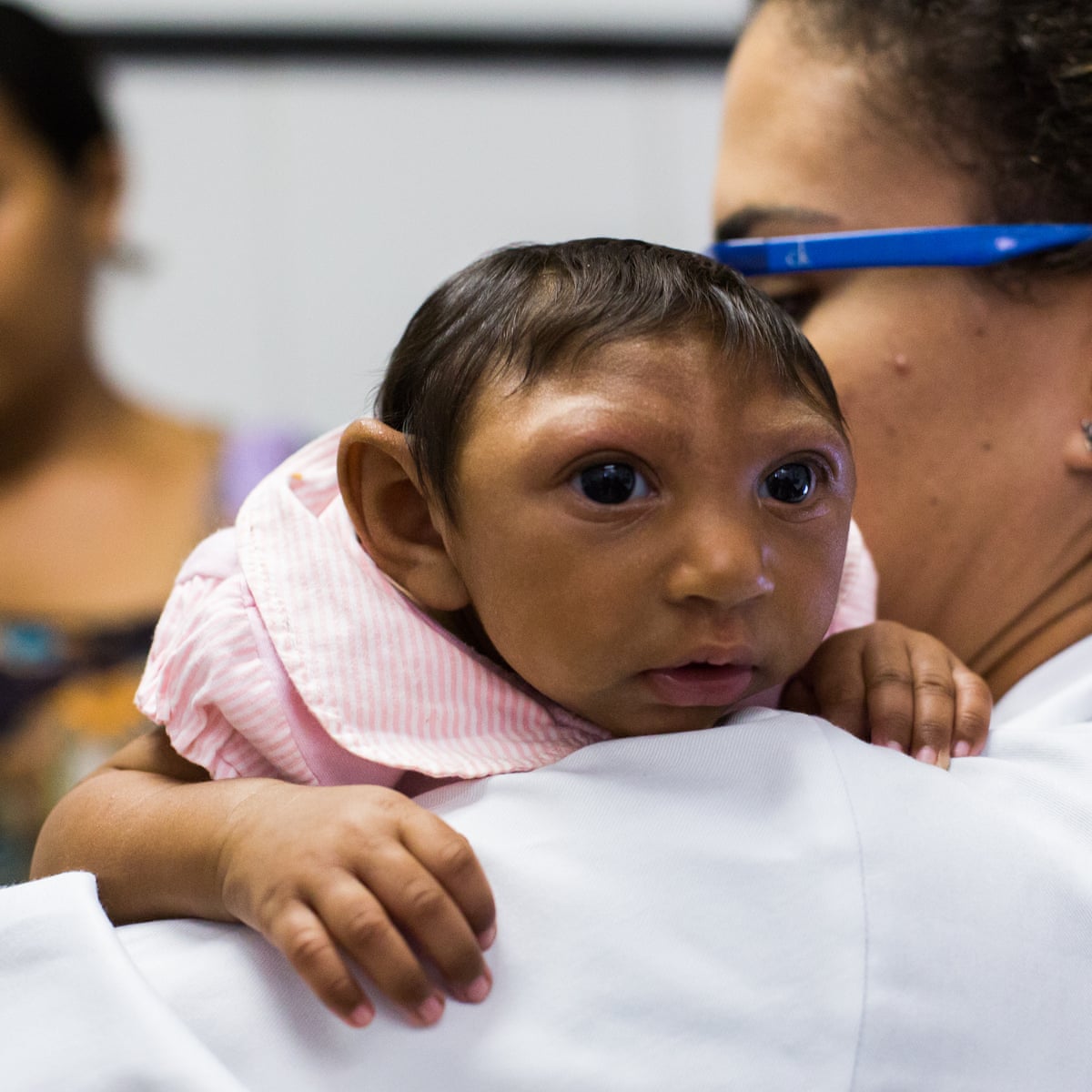 Spain reports first known European case of Zika-infected pregnant woman | Zika virus | The Guardian