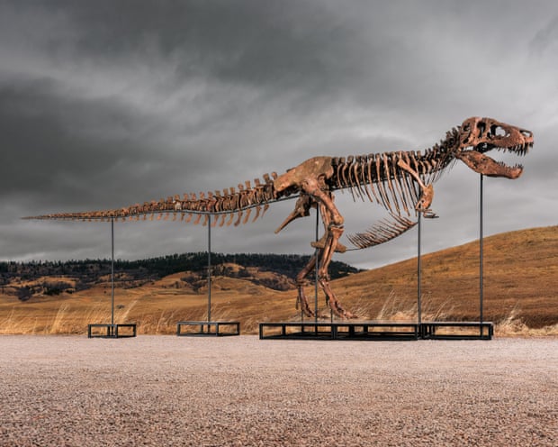 Tyrannosaurus Rex