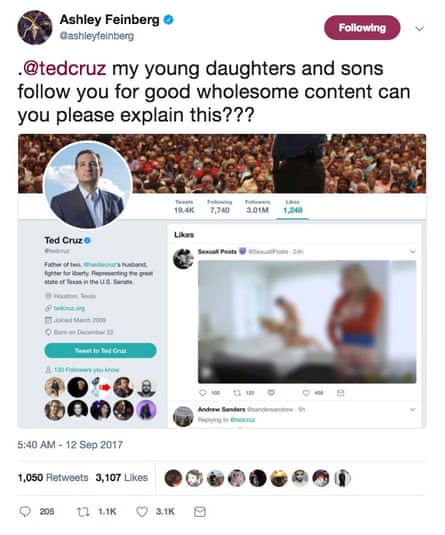 A screenshot posted by Twitter user Ashley Feinberg of the pornographic tweet ‘liked’ by Cruz’s account