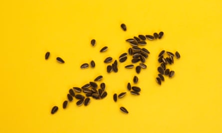 Sunflower seeds from Ukraine