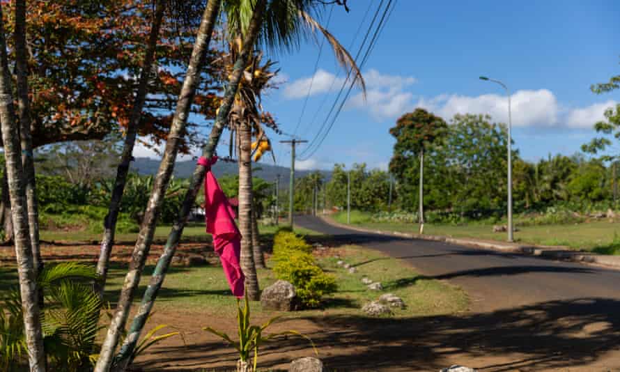 Red fabric tied to a tree in-front of a house in Apia, Samoa alerts health officials that the household has not been vaccinated for Covid-19.