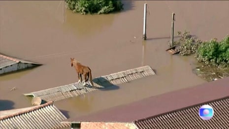 Horse stranded on rooftop after flooding hits southern Brazil – video