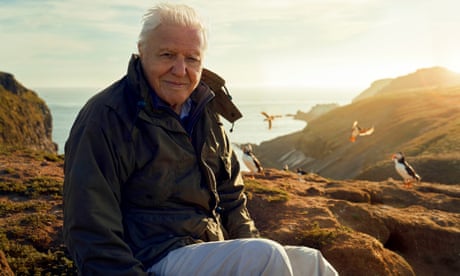 BBC will not broadcast Attenborough episode over fear of ‘rightwing backlash’