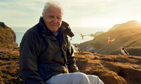 Sir David Attenborough, filming for Wild Isles series, next to Common puffins.