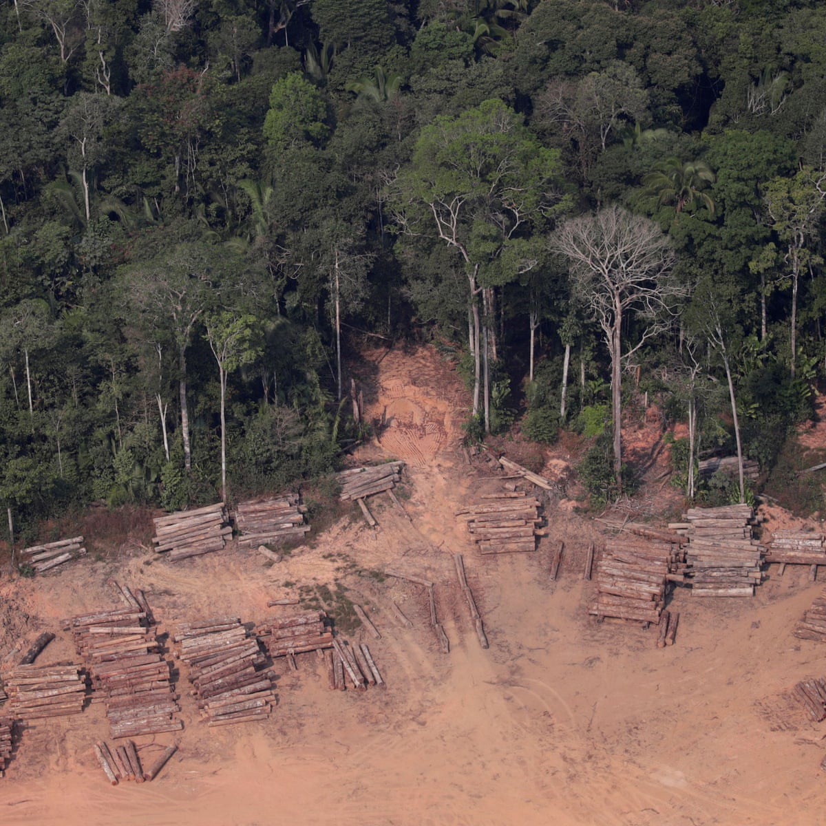 Brazilian Amazon Deforestation Surges To Break August Records Amazon Rainforest The Guardian Brazilian Amazon Deforestation Surges To Break August Records Amazon Rainforest The Guardian