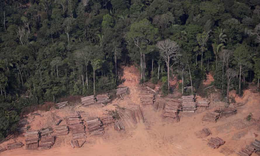 Brazilian Amazon Deforestation Surges To Break August Records Amazon Rainforest The Guardian Brazilian Amazon Deforestation Surges To Break August Records Amazon Rainforest The Guardian