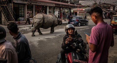 Um rinoceronte indiano selvagem caminha pela rua principal de Sauraha, vindo do Parque Nacional de Chitwan, em busca de pasto. A população de rinocerontes no Nepal está crescendo rapidamente, e o país tornou-se vítima do próprio sucesso na conservação. Com medidas eficazes contra a caça furtiva e o apoio da comunidade, o número de rinocerontes selvagens aumentou mais de sete vezes. Isso levou a um aumento nos incidentes de conflito entre humanos e animais selvagens, e agora o Nepal está aprendendo a educar aqueles que estão em maior risco.