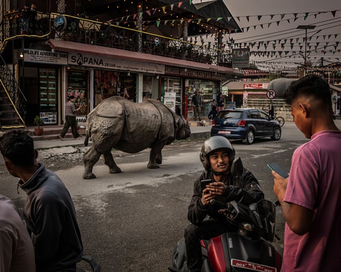 ‘They come right past the house’: learning to live with rhinos as numbers soar in Nepal