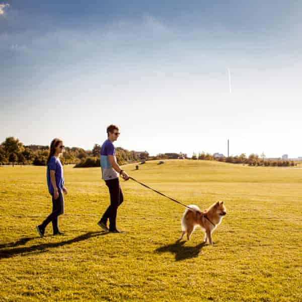 Couple walking dog in park on sunny day.
