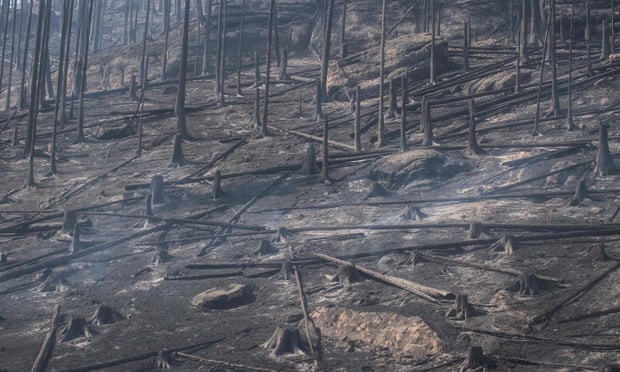 The blaze was declared the worst forest fire in the nation’s history.