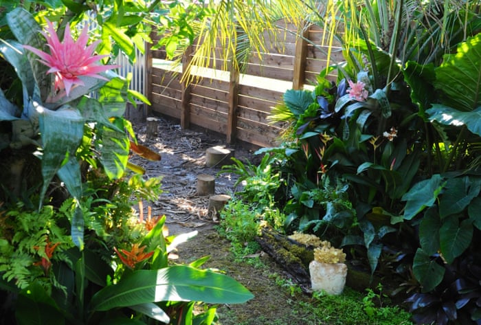 Green Shoots How Veganism Is Changing Gardening Life And Style