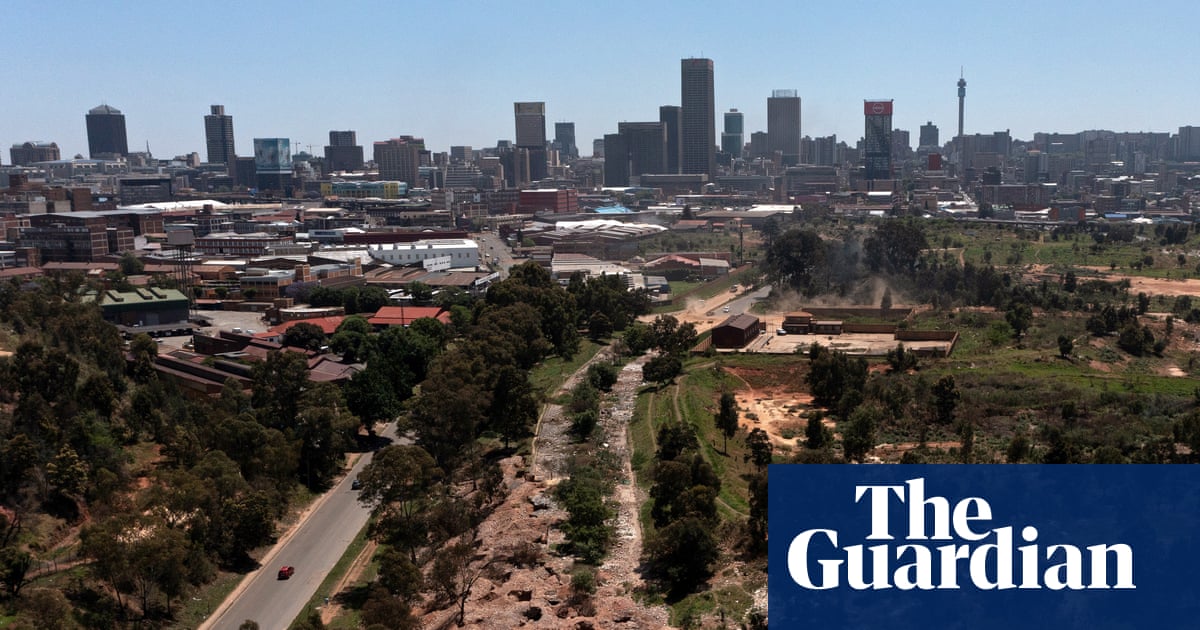 Sinkholes, scarred land and scapegoats: the scourge of illegal gold mining in Johannesburg