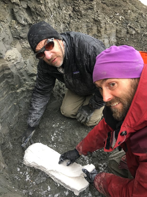 Prof Gregory Erickson, left, and his colleague find evidence of baby dinosaurs in the Arctic.