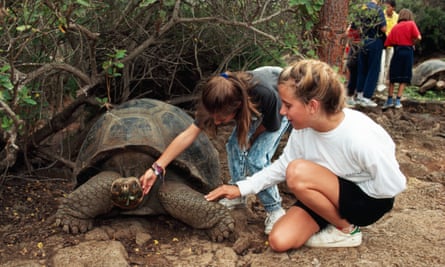 Opportunity of a lifetime … children get to stroke a giant tortoise in the Galapagos Islands.