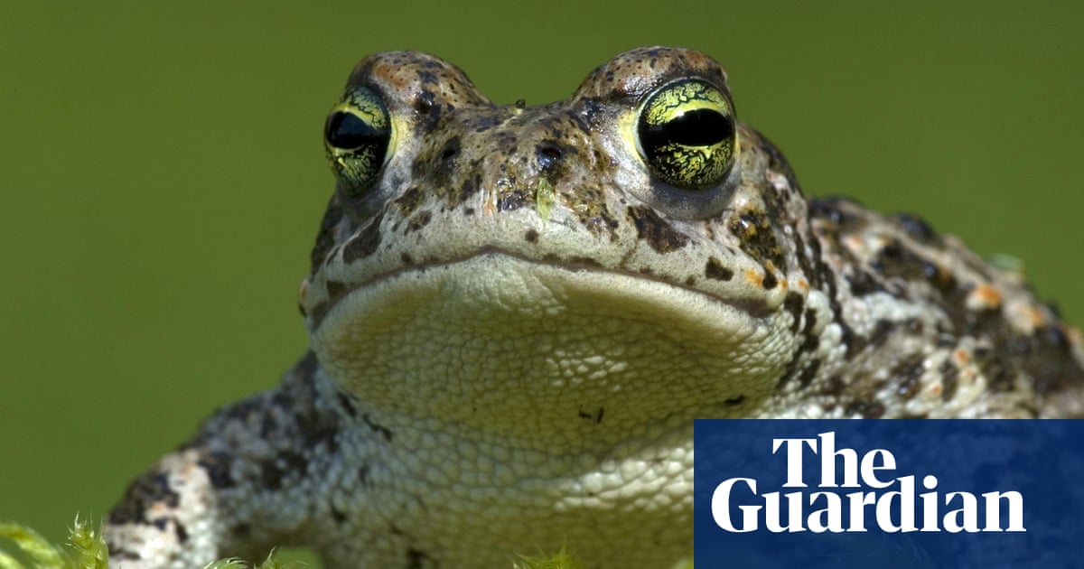 UK wildlife devastated by litany of weather extremes in 2022