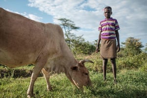 A girl poses for a portrait while standing next to a cow in Nakapiripirit, home to traditional pastorialists who depend on their cattle for survival and with the threat of locust invasions