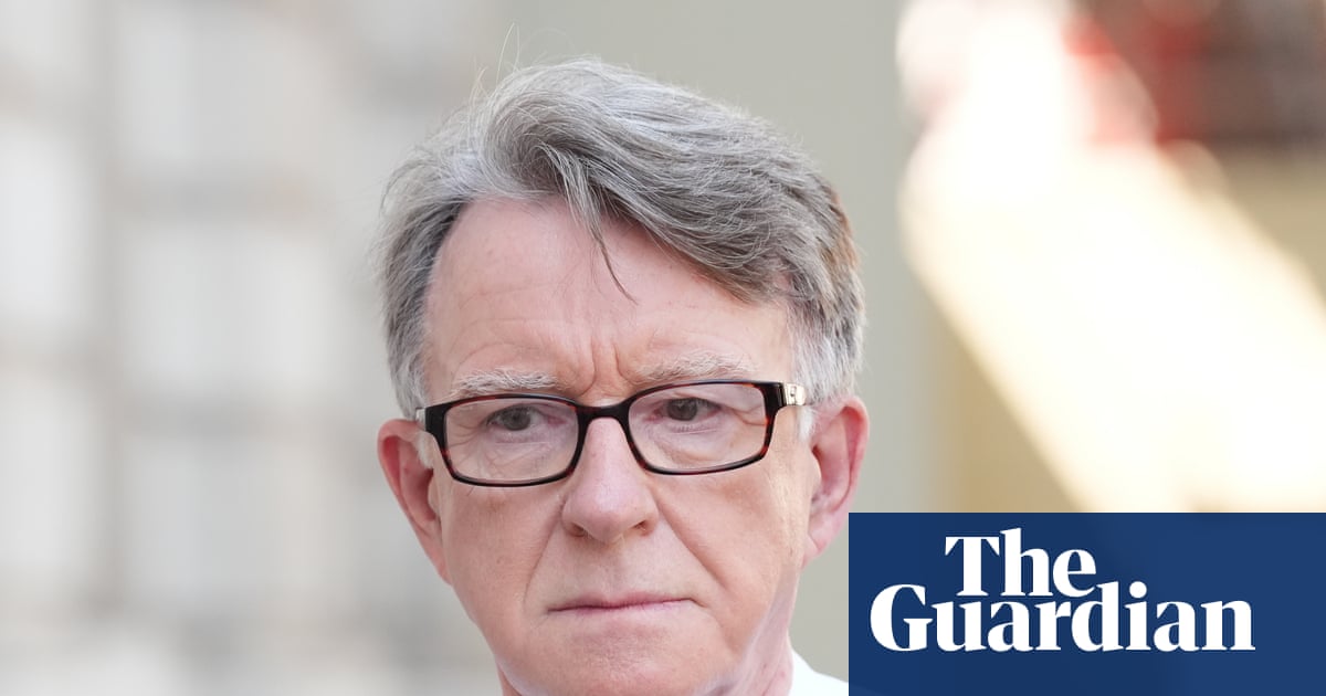 Jeffrey Epstein sent money to Mandelson's husband after prison release, emails reveal