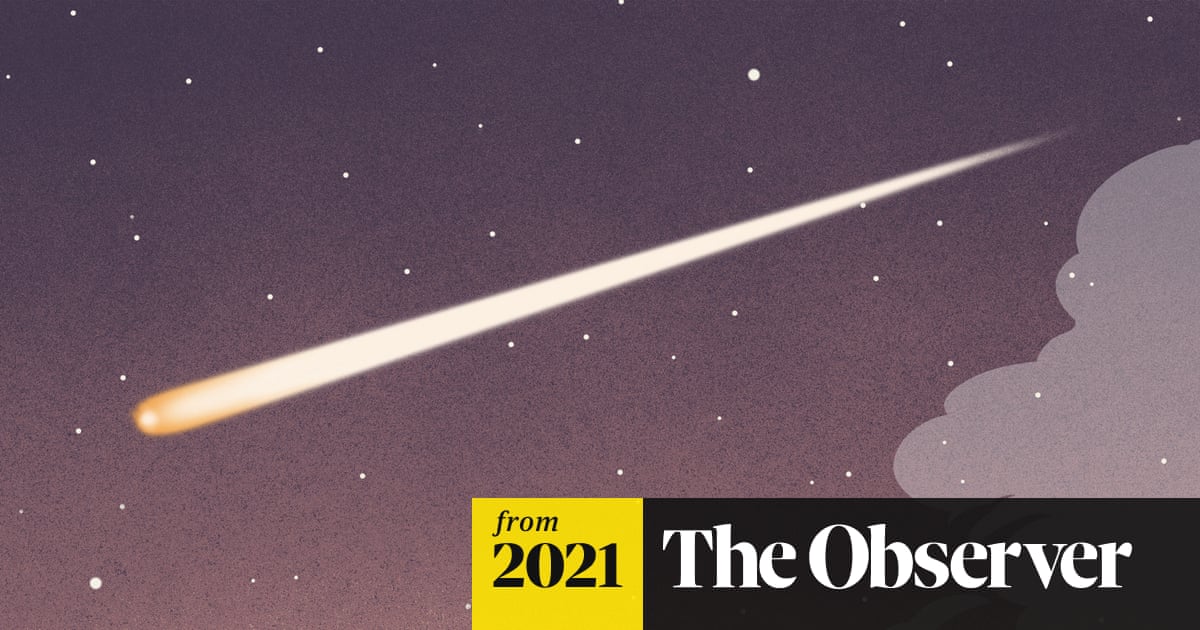 www.theguardian.com