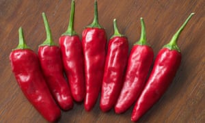 El amor Pimm's? Crecer su propio cóctel guarniciones 1 Spice up a Bloody Mary: grow ‘Apache’ chilli peppers.