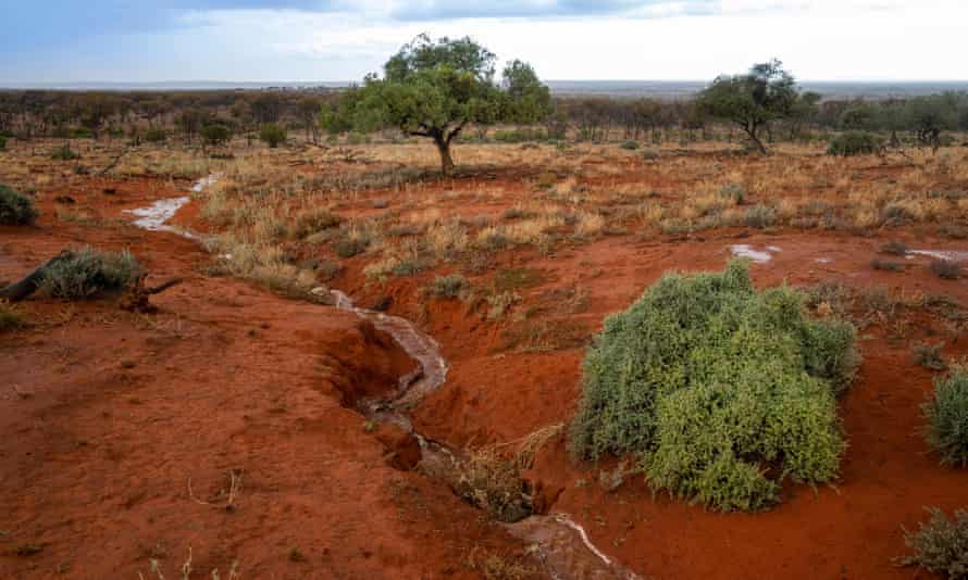 The conversion of the Langidoon and Metford sheep stations into a nature reserve will make it an important refuge for wildlife.