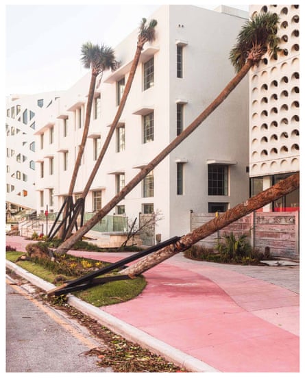 Storm-felled palm trees bending into art deco buildings in Miami