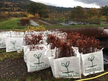Trees for Life Estate