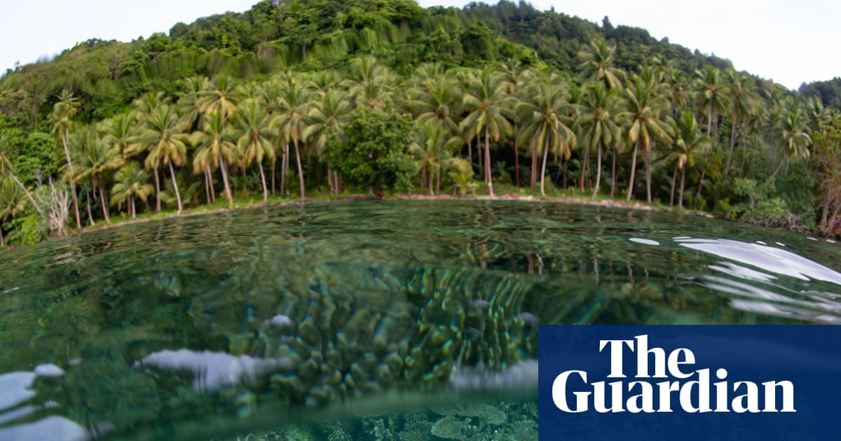 Urgent Action Required: The Biodiversity Crisis Can't Wait