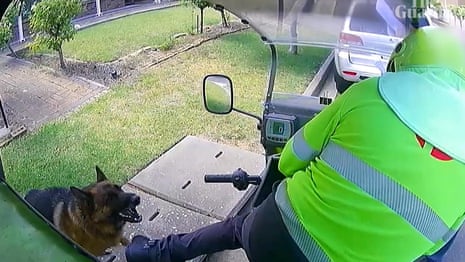 Australia Post releases video of dogs attacking posties - video