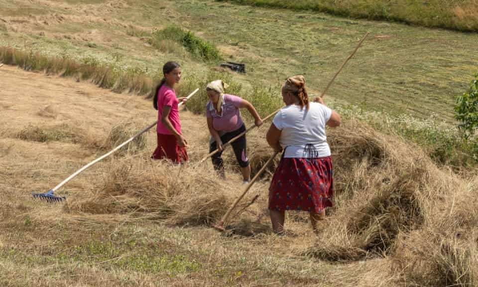 Three women turning hay