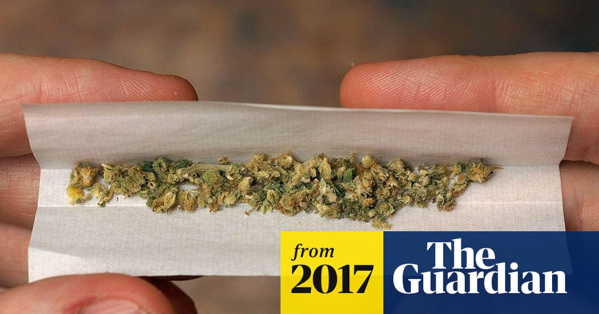 what can i use instead of tobacco in my joint Don't smoke it with tobacco: scientists suggest ways to make cannabis safer | Cannabis what can i use instead of tobacco in my joint Don't smoke it with tobacco: scientists suggest ways to make cannabis safer | Cannabis