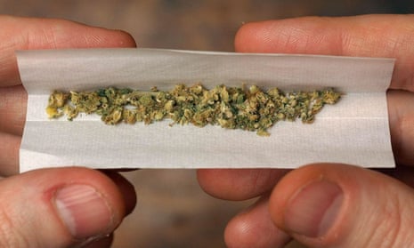 A person rolling a joint of cannabis